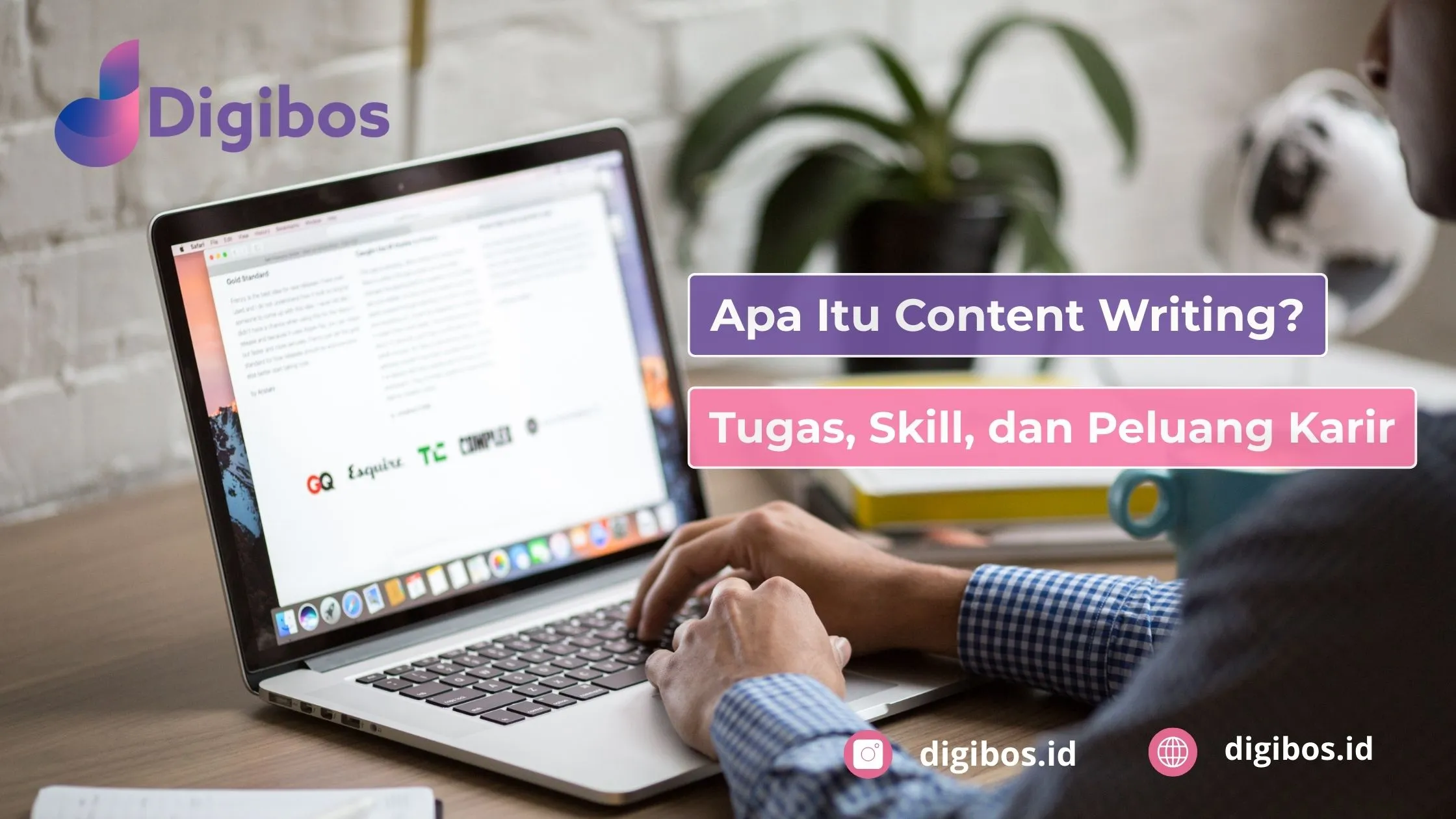 Content Writing